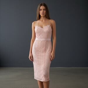 Bebe Blush Striped Mesh Lace Satin Midi Dress